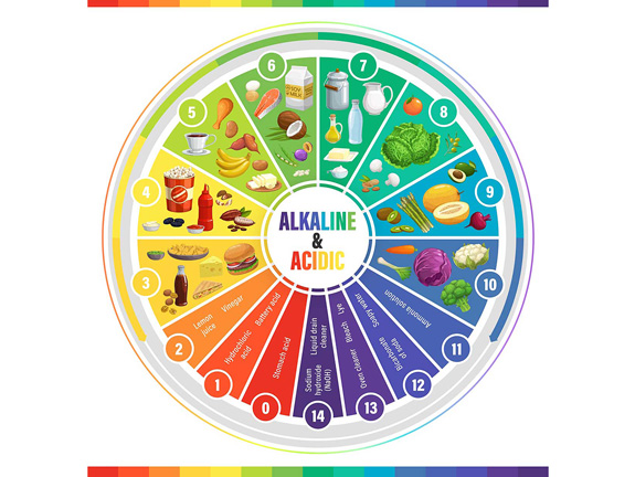 acidic and alkaline chart